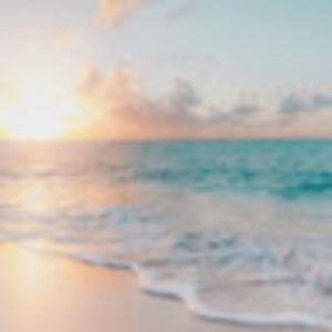 Meet your Posher, Courtney's